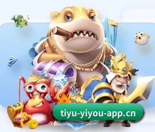 实时比分与赛程查询